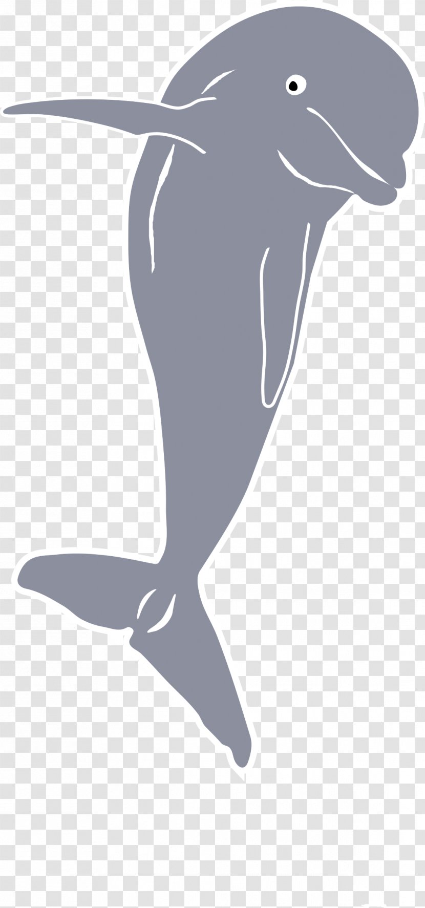 Dolphin Baby Whale Clip Art - Bird - Jumping Transparent PNG