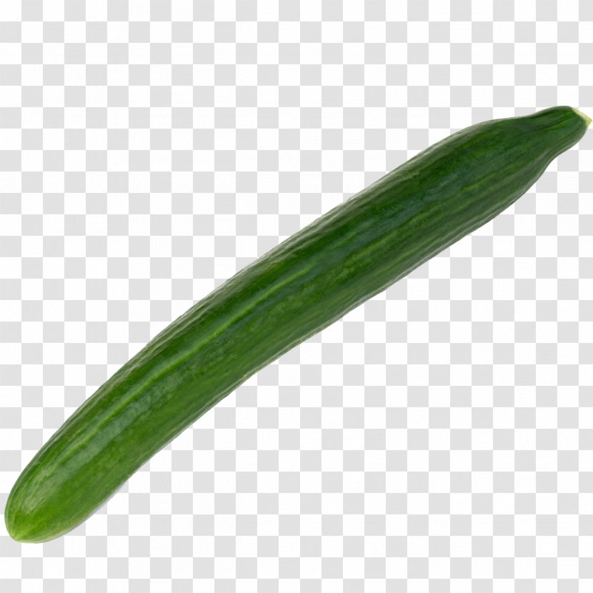 Pickled Cucumber Vegetable Melon Armenian Transparent PNG