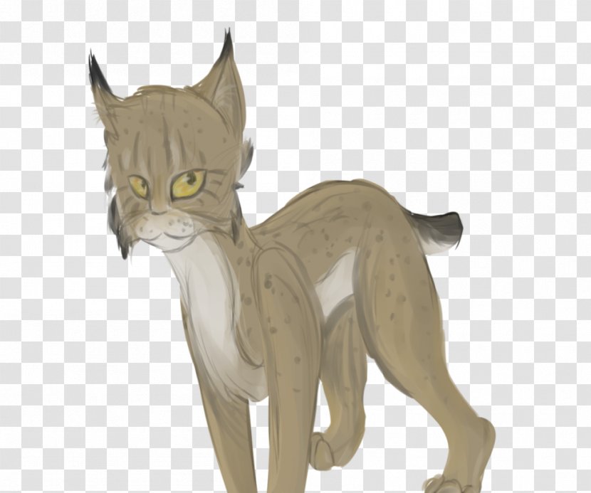 Whiskers Lion Cat Paw Puma - Big Cats Transparent PNG