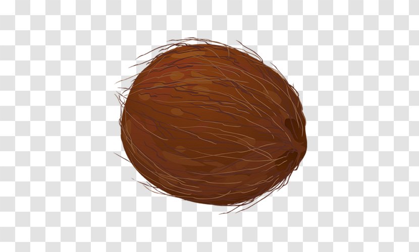 Chocolate Coconut - Cartoon Transparent PNG