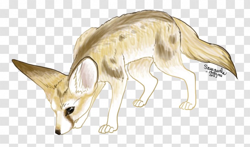 Drawing Macropodidae Line Art Canidae - Animal - Fennec Fox Transparent PNG