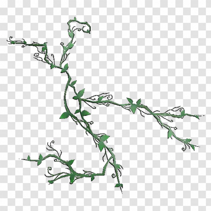 Twig Plant Stem Leaf Flower Font Transparent PNG