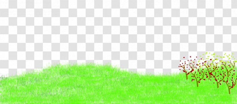 Lawn Vegetation Grassland Sunlight Desktop Wallpaper - Sky - Winter Season Transparent PNG