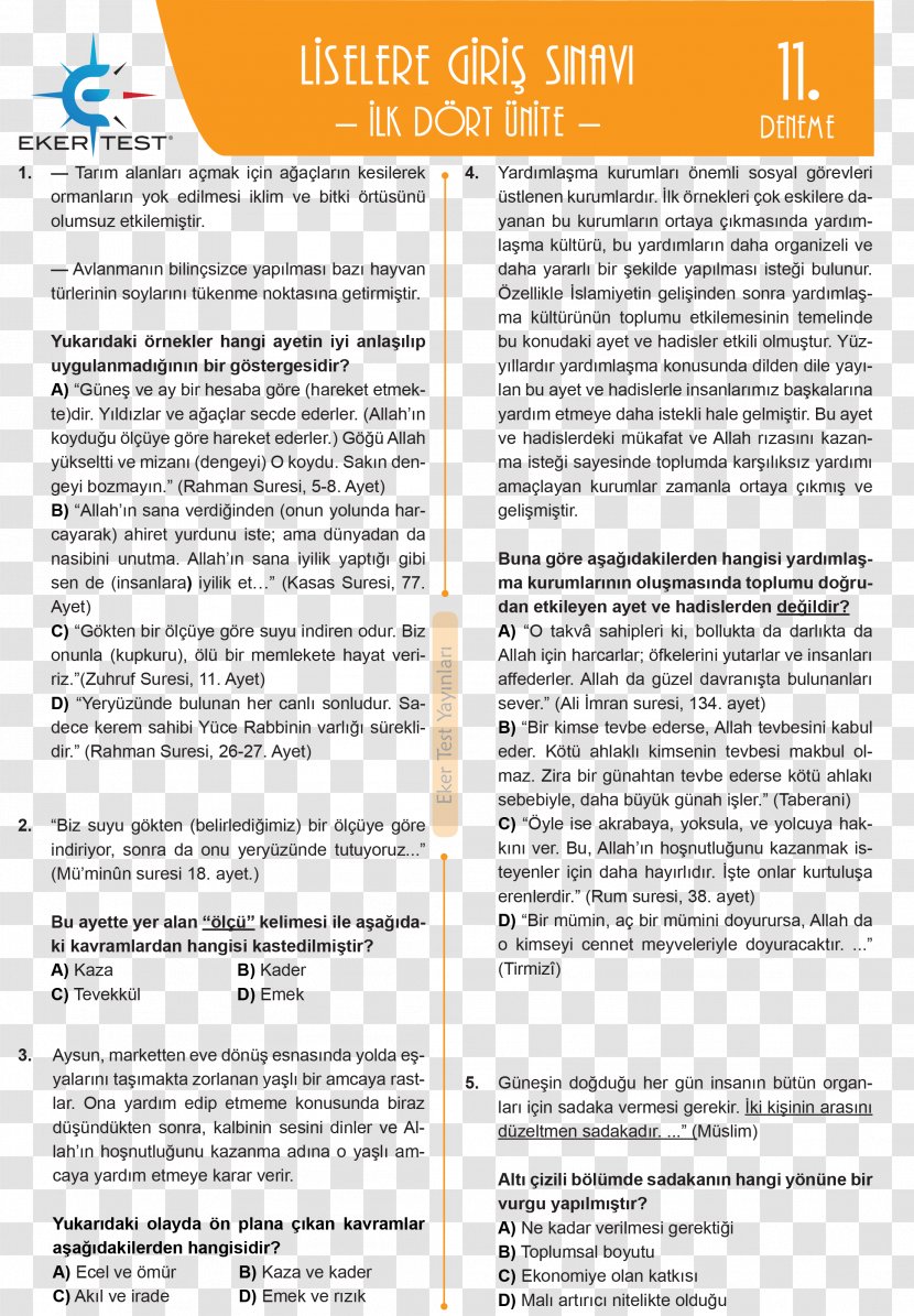 Essay Test Middle School Class - Education Transparent PNG