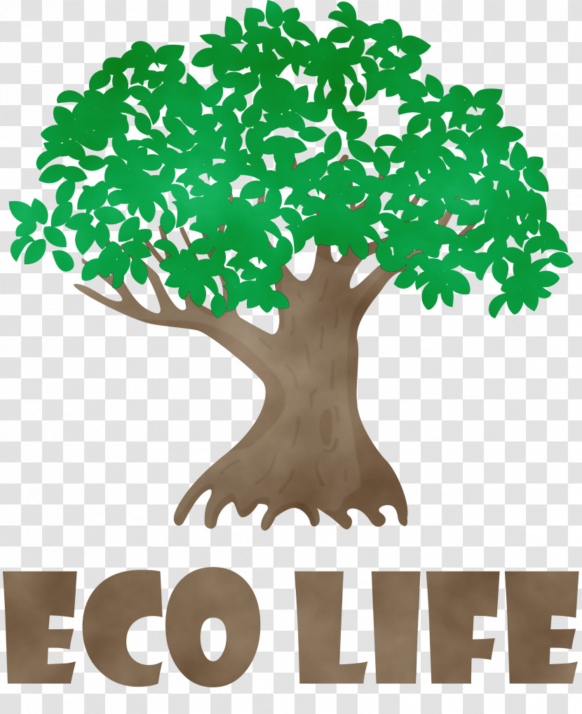 Leaf Tree Green Meter Flowerpot Transparent PNG