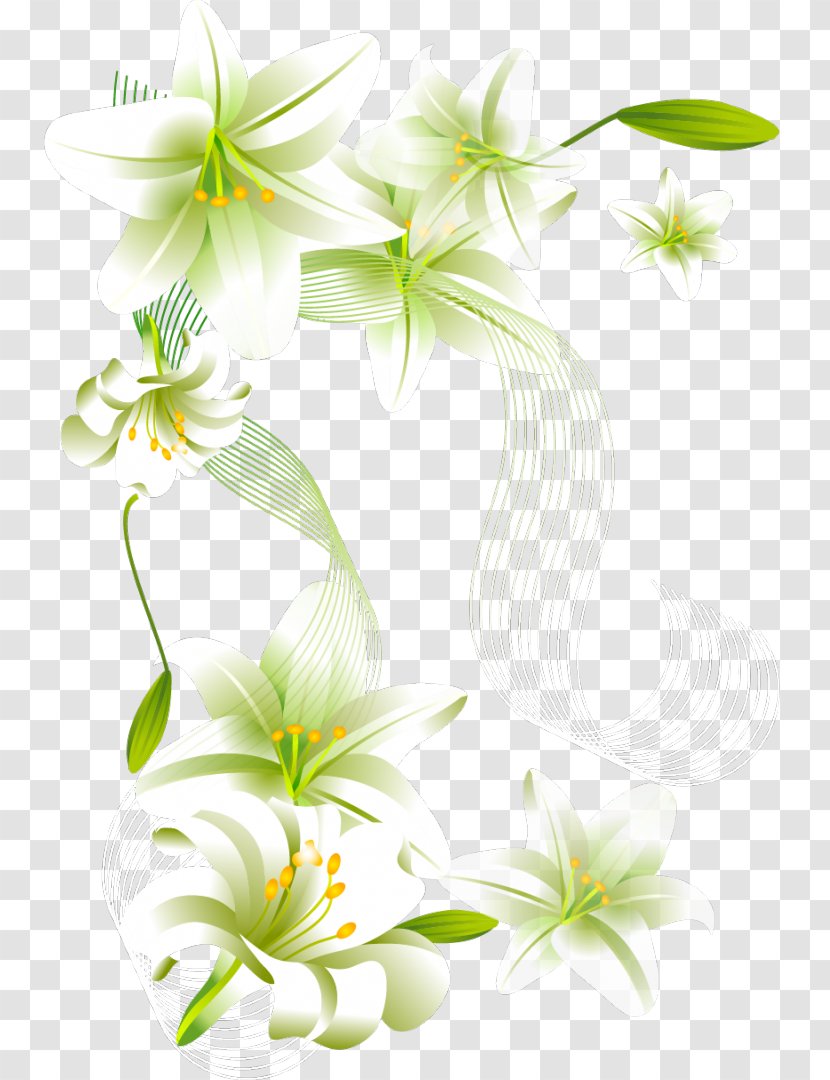 Mother's Day Love Wish Floral Design - Leaf - Mothers Transparent PNG