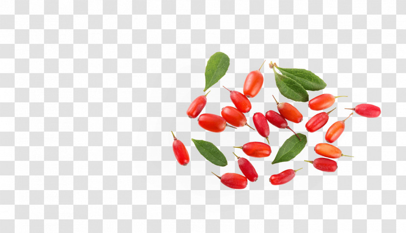 Tabasco Pepper Red Plant Superfruit Food Transparent PNG