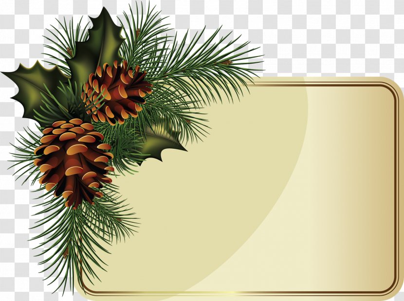 Fir Borders And Frames Conifer Cone Spruce - Pinecones Transparent PNG