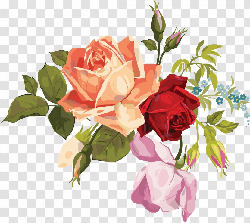 Garden Roses Flower Bouquet Floral Design Cut Flowers - Peach - Watercolour Transparent PNG