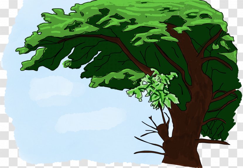 Tree Show, Don't Tell Leaf Vegetable - Trans Man - Dont Cut Trees Transparent PNG