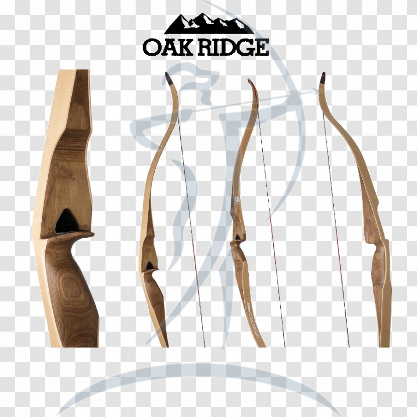 Longbow Recurve Bow Archery And Arrow - Crossbow Transparent PNG
