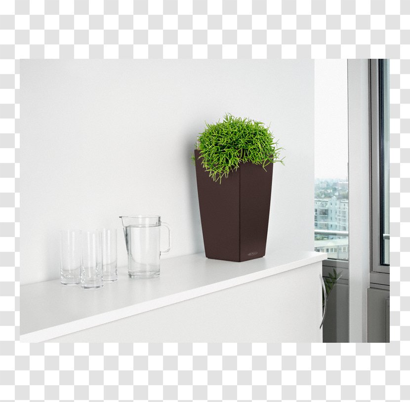 Vase Glass Herb Houseplant Flowerpot - Furniture Transparent PNG