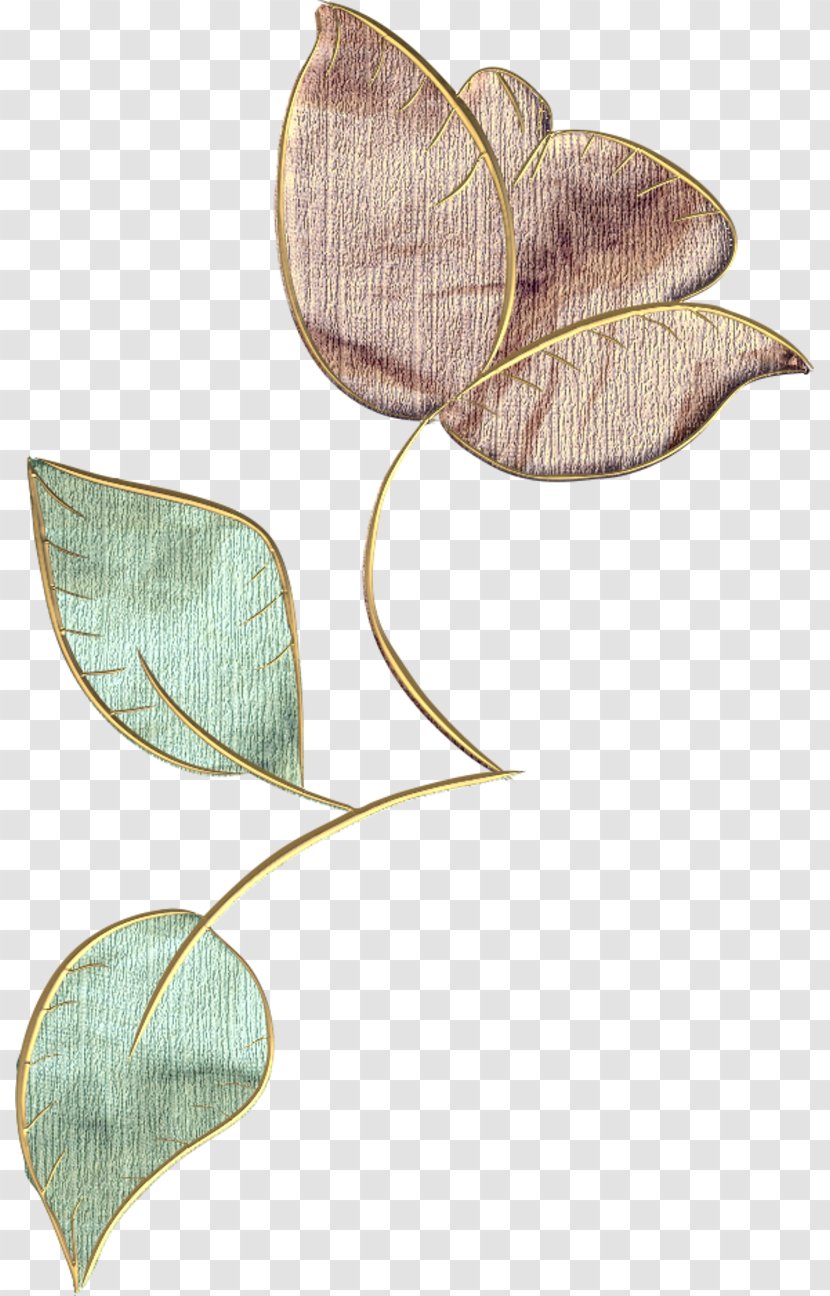 Leaf Petal Transparent PNG