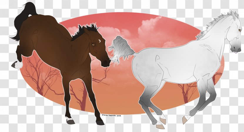 Mustang Foal Pony Stallion Mare Transparent PNG