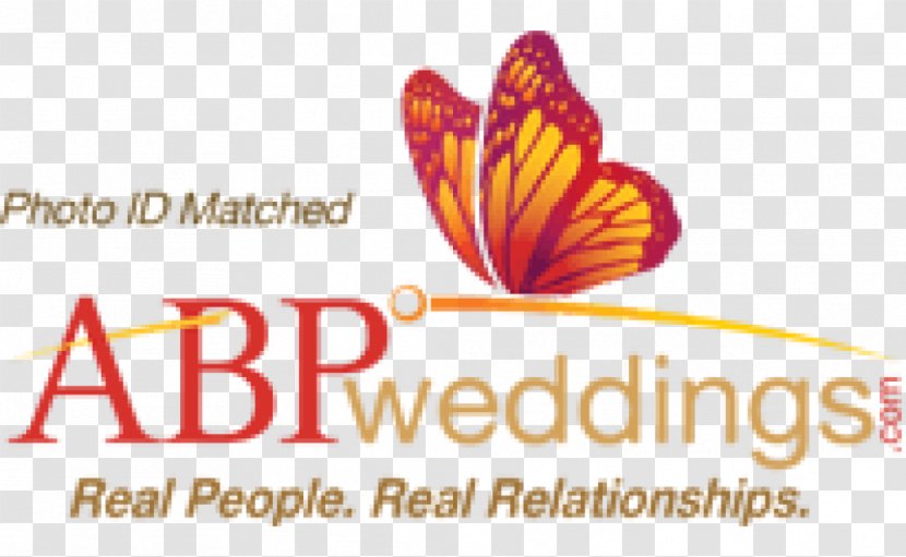 ABP News Marriage Wedding Group Bride - Reception Transparent PNG