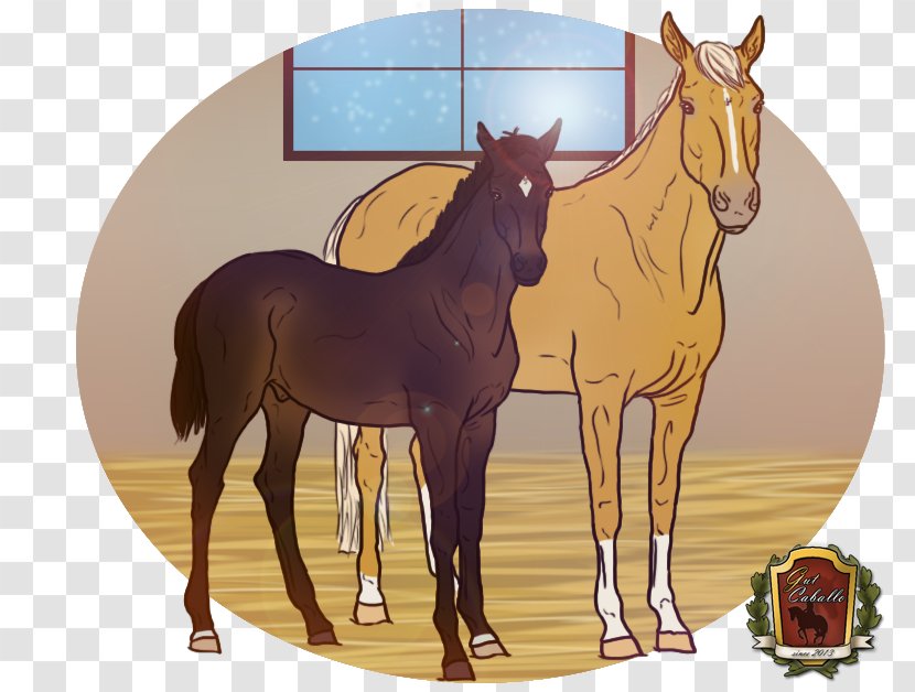 Foal Mustang Stallion Colt Mare - Livestock Transparent PNG