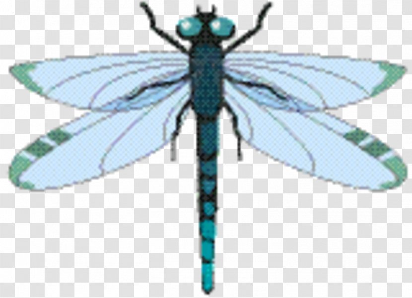 Butterfly - Lepidoptera - Fly Damselfly Transparent PNG