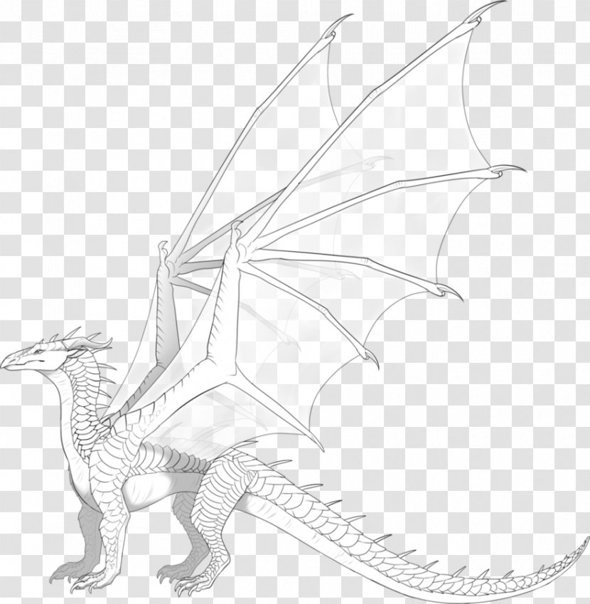 Dragon Wikia Wings Of Fire Sketch - Line Art Transparent PNG