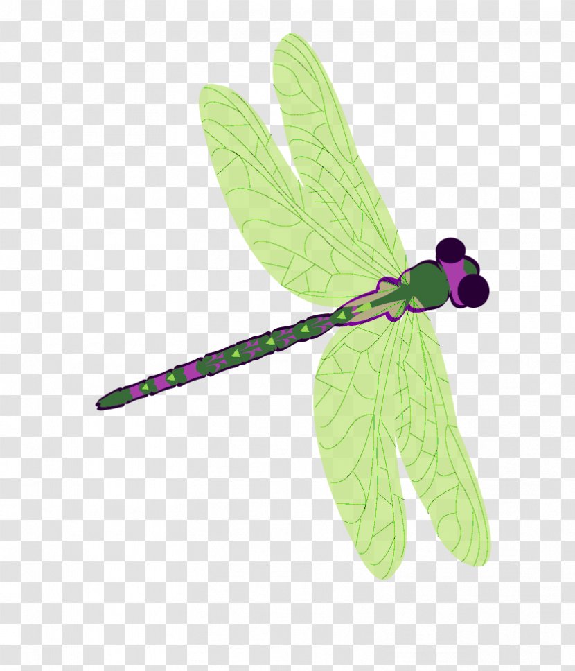Dragonfly - Thank You Green Transparent PNG