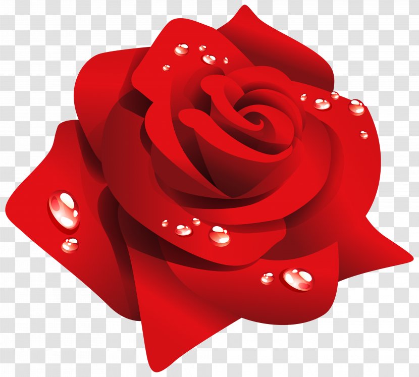 Rose Desktop Wallpaper Flower Clip Art - Red - Dew Transparent PNG