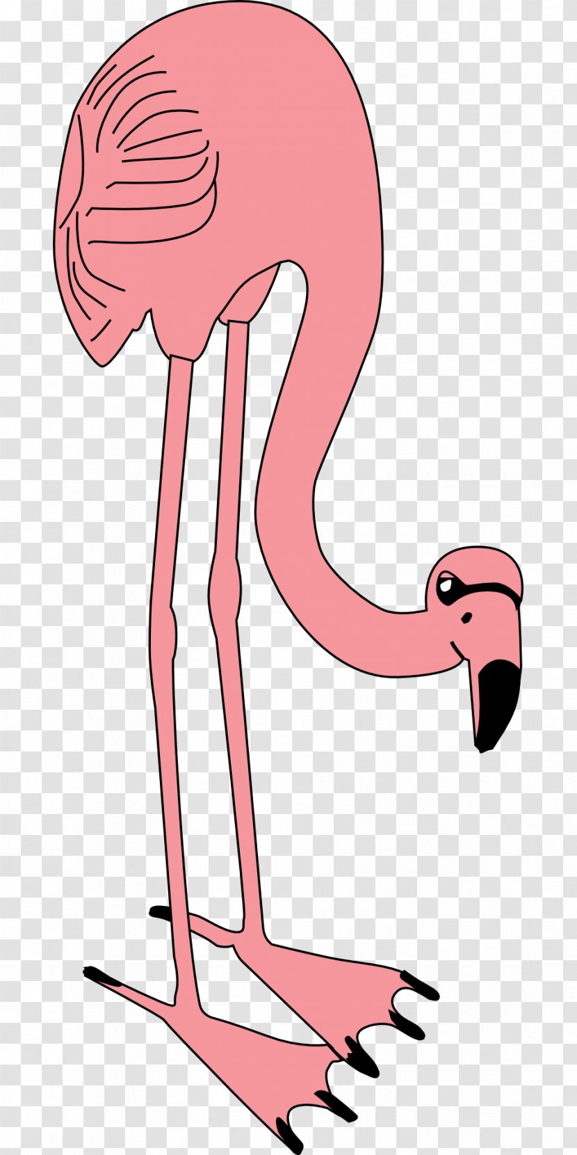 Flamingo Pink Clip Art - Watercolor Transparent PNG