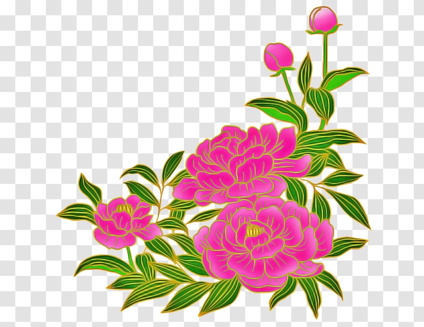 Flower Pink Plant Flowering Petal - Common Peony Cut Flowers Transparent PNG
