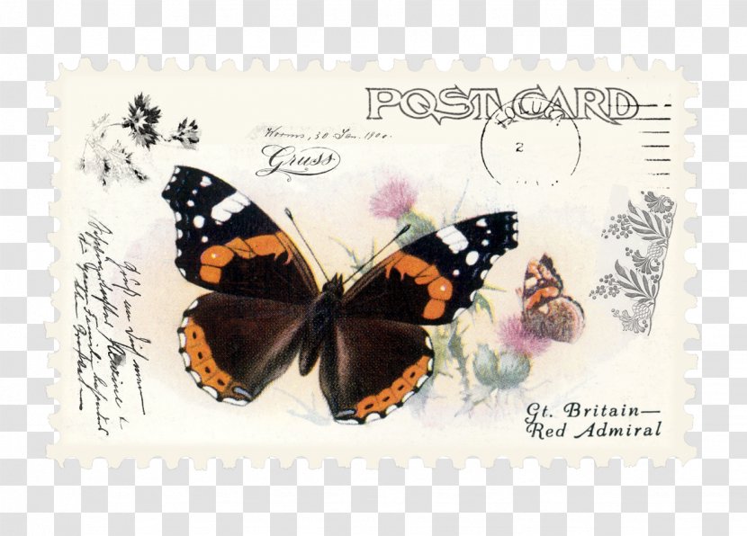 Monarch Butterfly Drawing - Nymphalis Label Transparent PNG