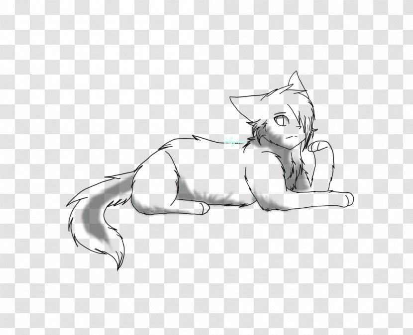 Whiskers Line Art Cat Sketch - Figure Drawing Transparent PNG