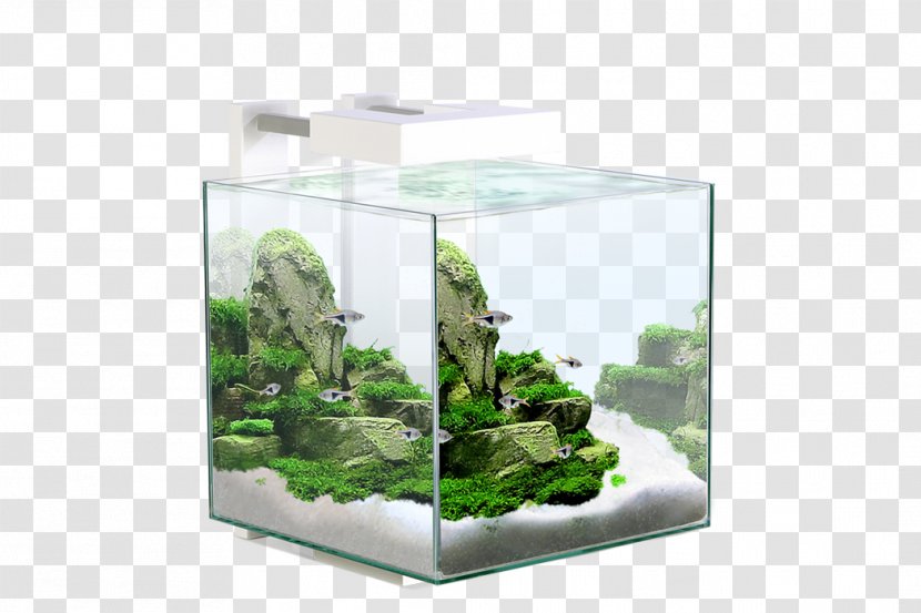 Light-emitting Diode Aquarium Filters LED Lamp - Light - Fish Tank Transparent PNG