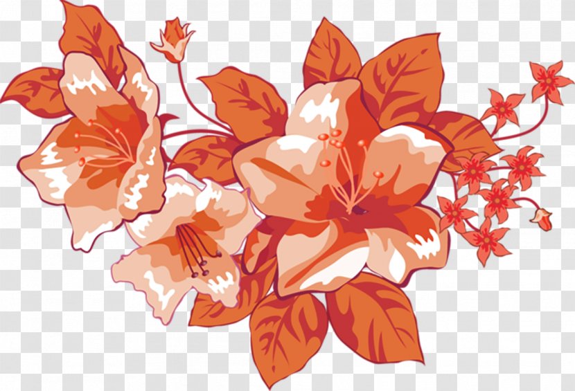 Orange Floral Design Flower - Cut Flowers - Decoration Transparent PNG