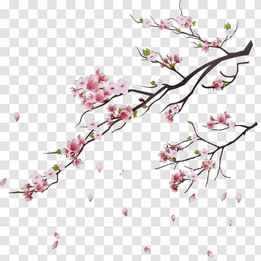 Cherry Blossom - Wet Ink - Pedicel Spring Transparent PNG