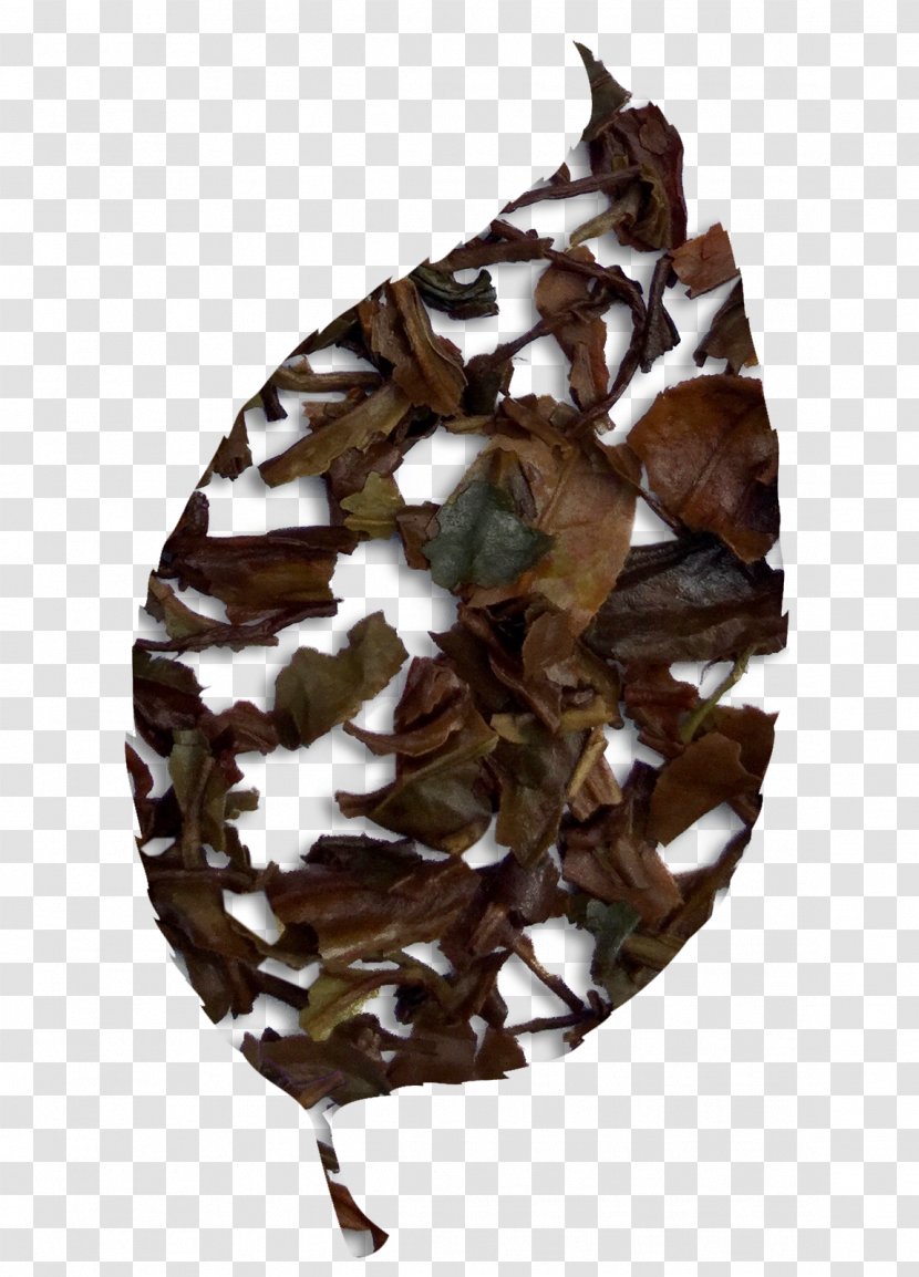 Leaf Camouflage Transparent PNG