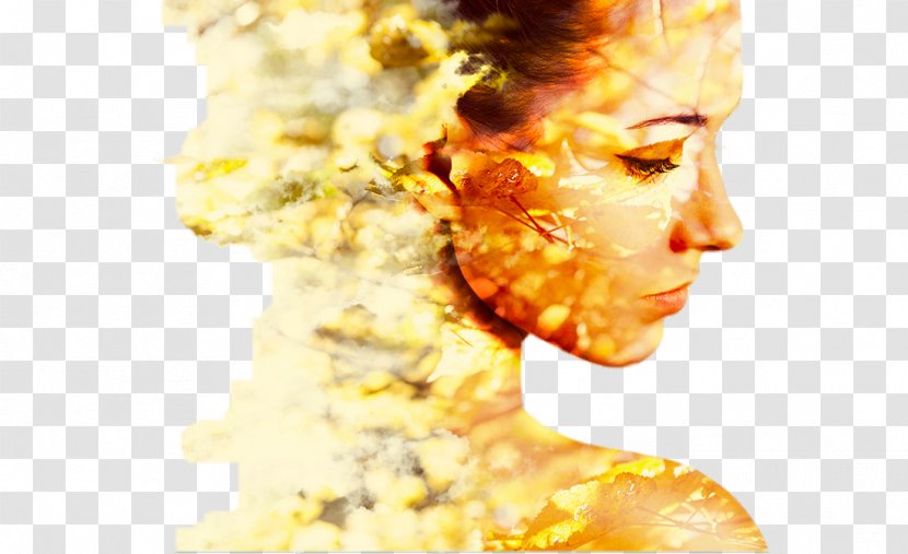 Woman Icon - Junk Food - Creative Women Face The Sun Leaves Transparent PNG
