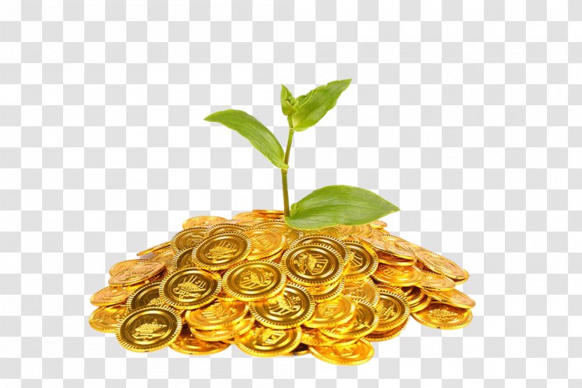 Gold Coin Plant Finance - Coins And Plants Transparent PNG