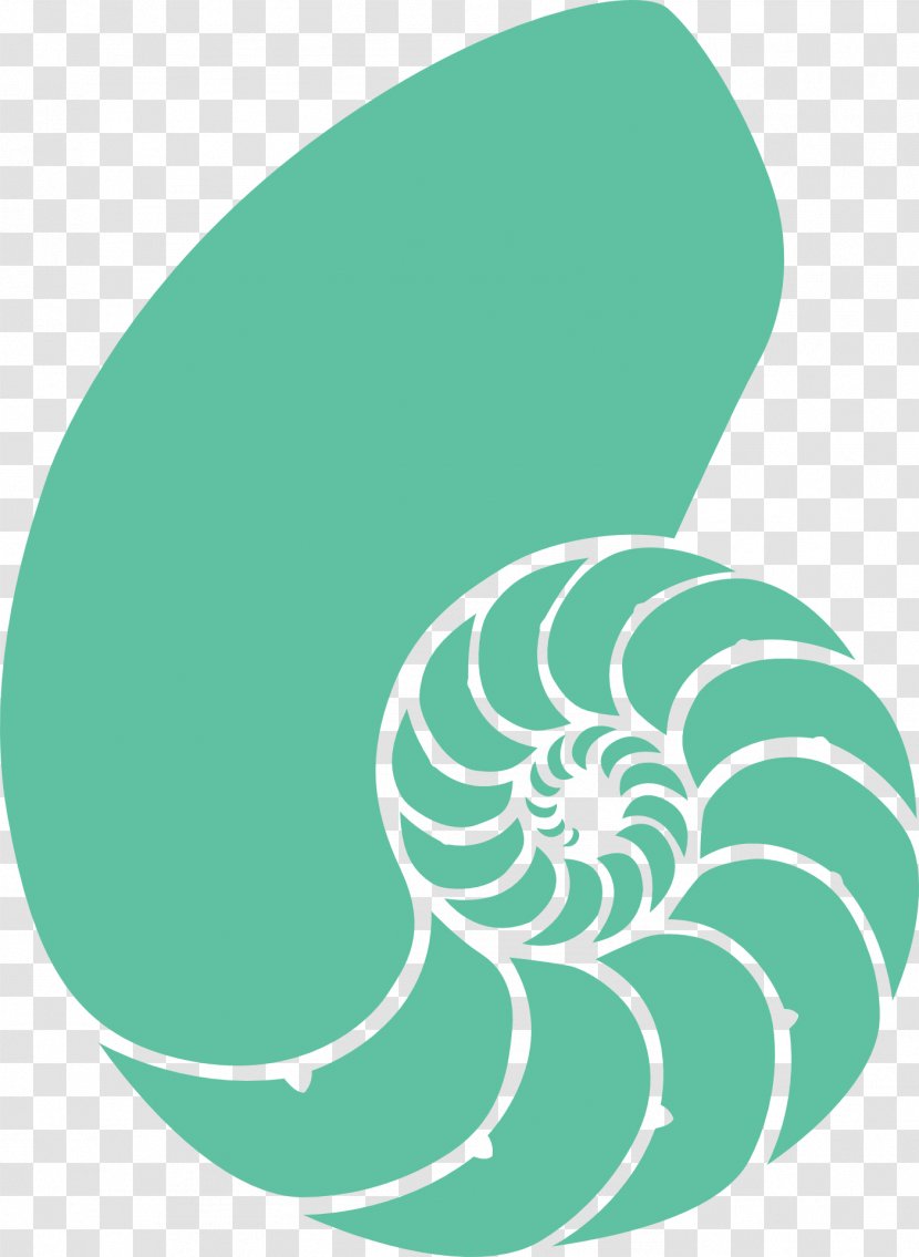 Seashell Nautilidae Clip Art - Green Snail Transparent PNG