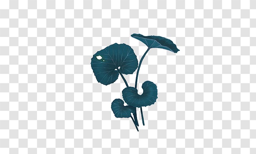 Leaf Lotus Effect - Turquoise Transparent PNG