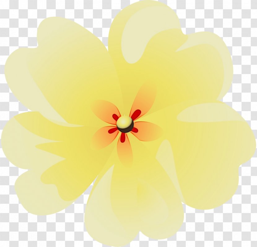 Hawaiian Flower - Geranium - Mallow Family Transparent PNG