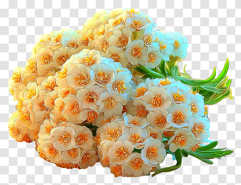 Radiant Flower Art - Cluster Of White Flowers Transparent PNG