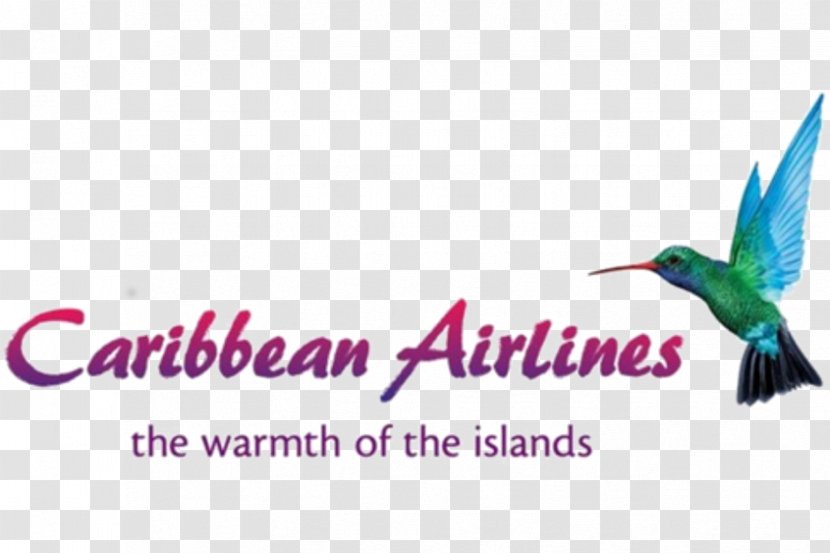Piarco International Airport Cheddi Jagan Caribbean Airlines Lynden Pindling Flight Transparent PNG