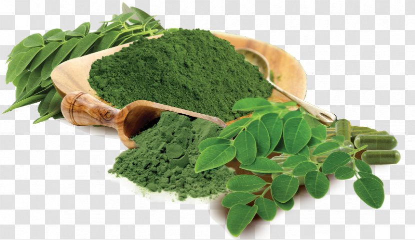 Drumstick Tree Jojoba Liquid Import - Sodium Chloride - Moringa Leaves Transparent PNG