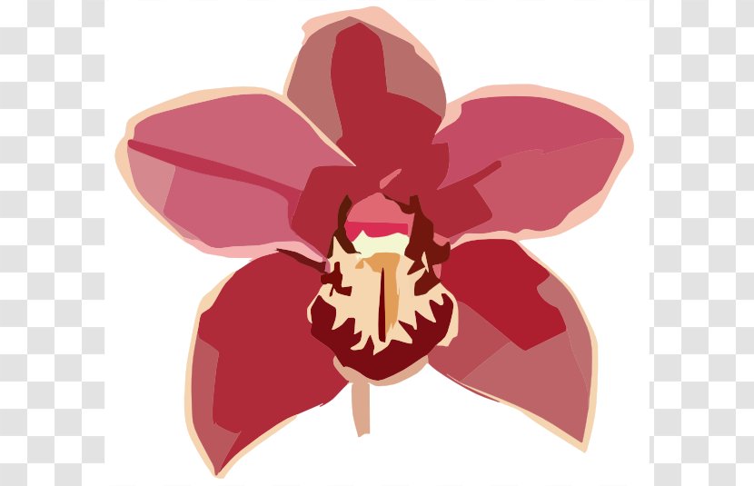 Orchids Free Content Flower Clip Art - Red - Columbian Orchid Cliparts Transparent PNG