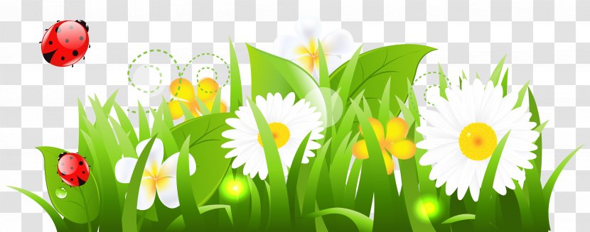 Flower Clip Art - Meadow - White Flowers Grass And Ladybugs Clipart Picture Transparent PNG