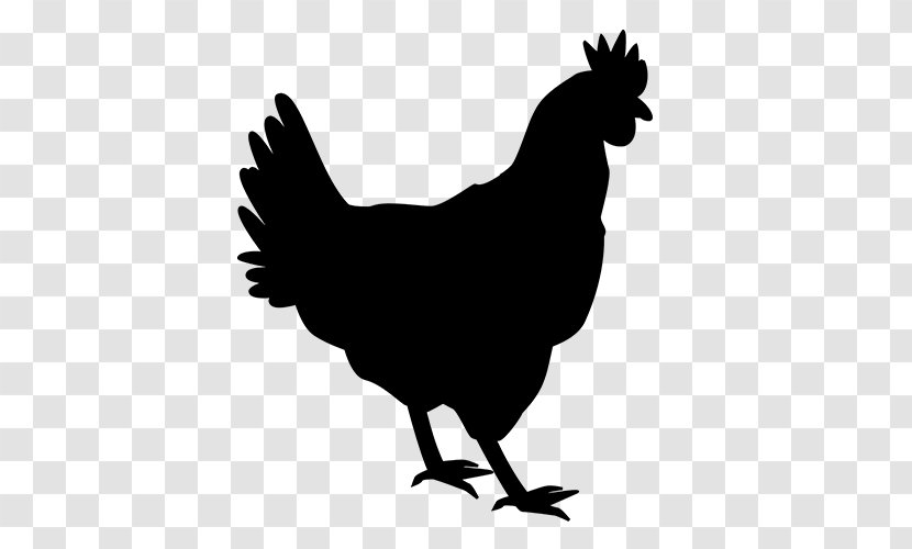 Chicken Rooster Wall Poultry Farming - Farmhouse Transparent PNG