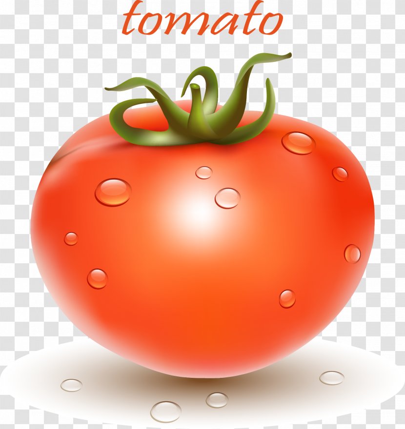 Plum Tomato Bush Cherry Vegetable - Strawberry - Vector Realistic Transparent PNG