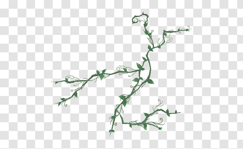 Plant Stem Vine Tree - Grass - Thorny Crown Transparent PNG