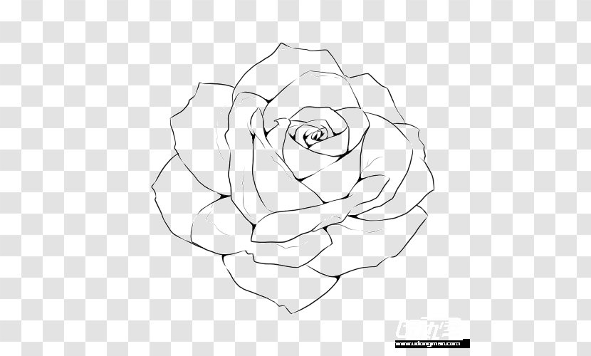 Drawing Line Art Painting Stencil Transparent PNG