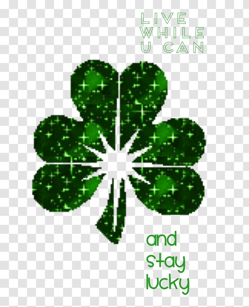 Saint Patrick's Day Shamrock Ireland Irish People - Fourleaf Clover Transparent PNG