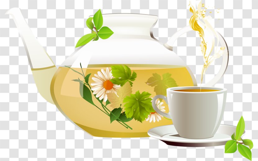 Chrysanthemum Tea Green Flowering Plant - Teapot Transparent PNG