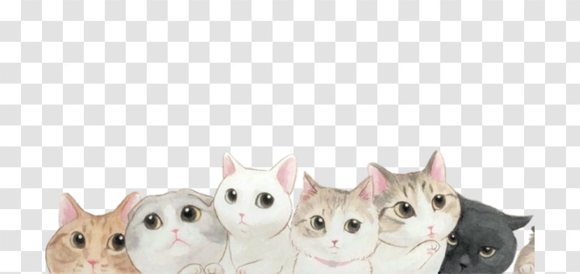 Kitten Cat Desktop Wallpaper - Domestic Short Haired Transparent PNG