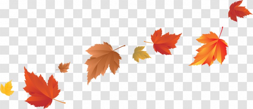 Autumn Leaf Color Clip Art - Petal - Blowing Transparent PNG
